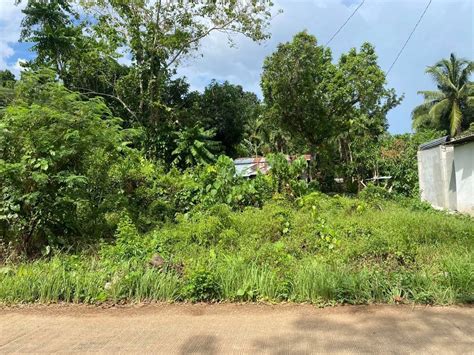 Commercial Lot For Sale At Bingag Dauis Panglao Island Bohol