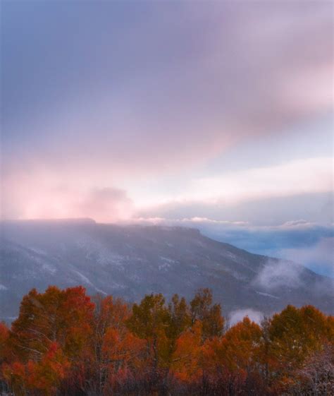 Fall Photography Tips for Foliage & More | Artifact Uprising