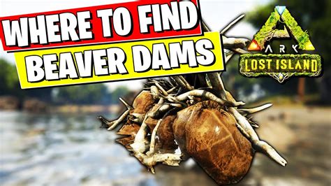 Where To Find Beaver Damscementing Paste On The Lost Island Youtube