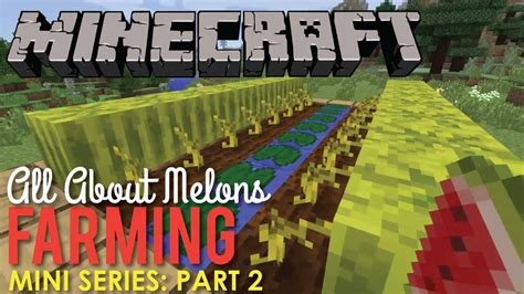 Minecraft How To Farm Melons