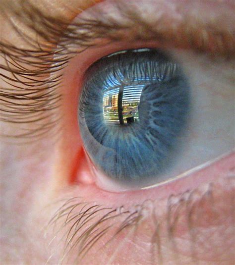 Eye Reflection Flickr Photo Sharing