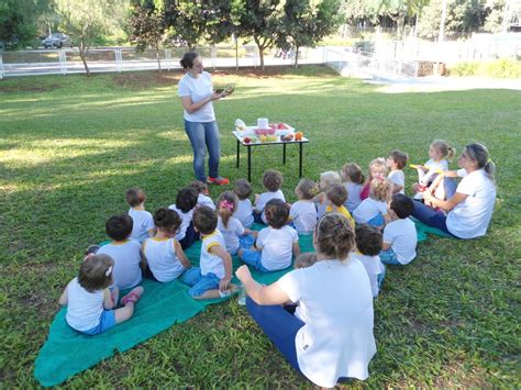 Turmas Do Infantil Realizam Piquenique De Frutas Sistema Logos Fico