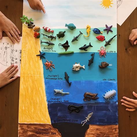 The kids had a fun time learning about the ocean zones this week. They ...