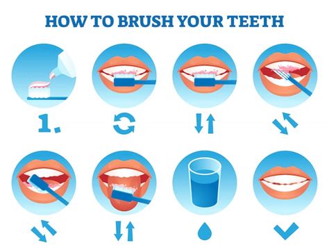 Premium Vector How To Brush Your Teeth Step By Step Instruction