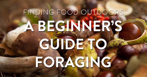 Nature's Bounty: A Guide to Foraging Food with Grillio