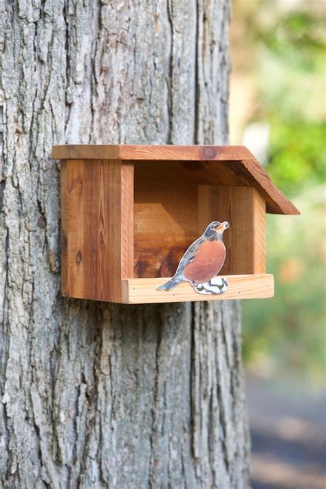 American Robin Cedar bird house | Etsy