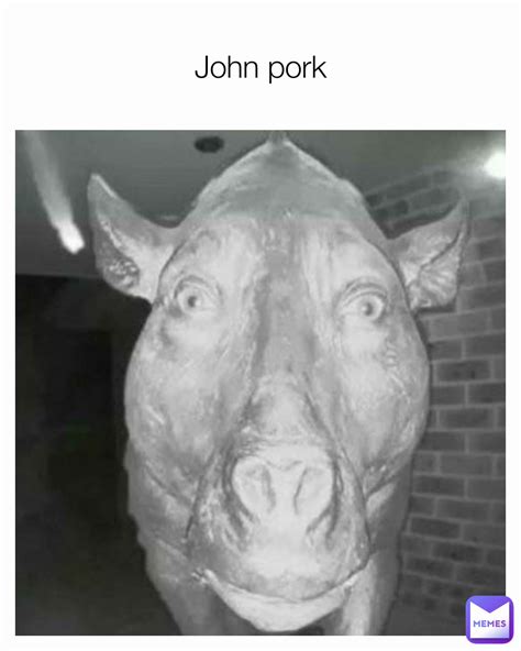 John Pork Bogger264 Memes