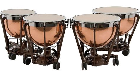 Auxiliary Percussion Must Haves Find Out The Best For You