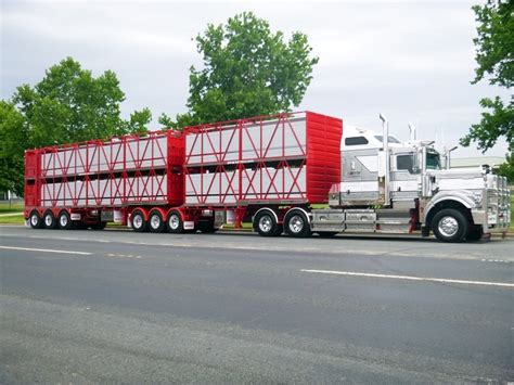 B Double Cattle Trailer Byrne Trailers