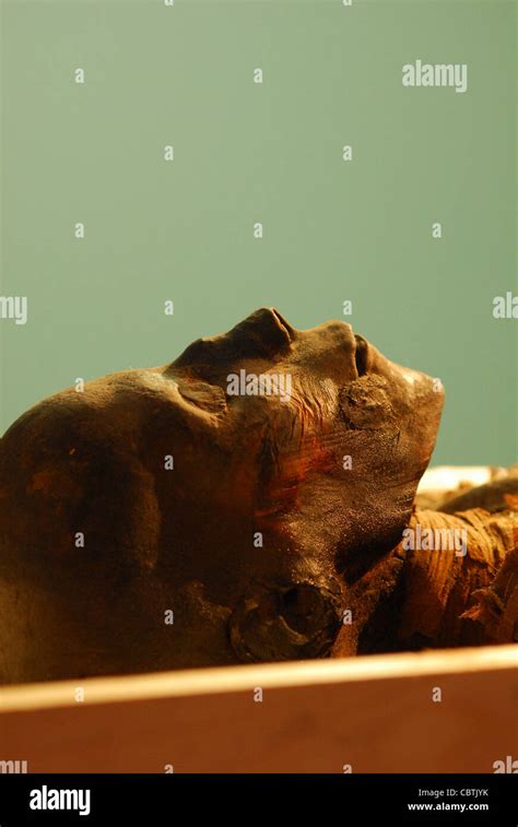 Hatshepsut mummy hi-res stock photography and images - Alamy