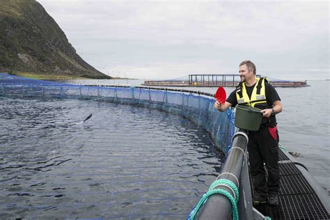 Asc Salmon Is A Responsible And Climate Friendly Choice Aquaculture