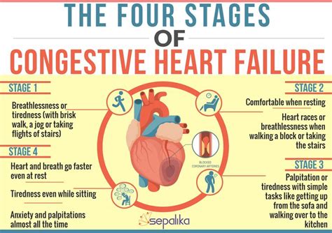 Pathophysiology Of Congestive Heart Failure Schematic Diagra