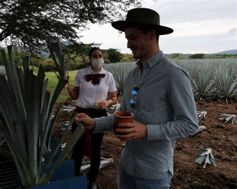 Tour En Los Campos De Agave De Jos Cuervo Ruta Mx