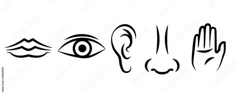 Clipart For The Five Senses