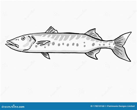 Cartoon Barracuda Vector Illustration | CartoonDealer.com #75493718