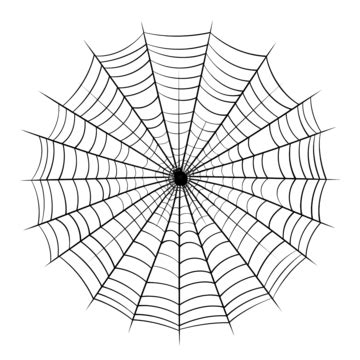 Spiderweb Set Illustration Isolated Halloween Decoration Design