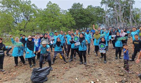 Pelajar UTM Bantu Pulihara Ekosistem Hutan Paya Laut UTM NewsHub