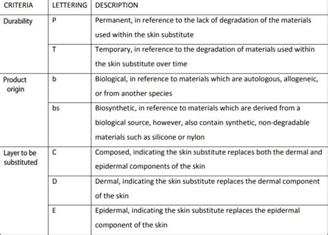 Skin Substitutes In Plastic Surgery