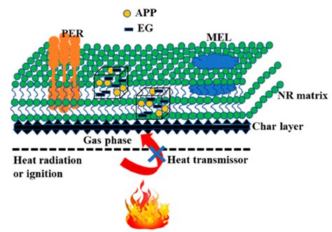 Schematic Of Flame Retardant Mechanism For Nr Ifr Expanded Graphite