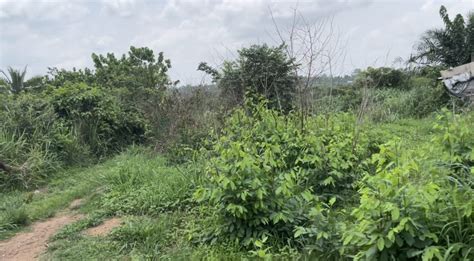 Farm Land For Sale Ghana Land For Sale In Ghana