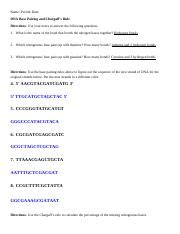 Understanding DNA Base Pairing And Chargaff S Rule Questions Course Hero