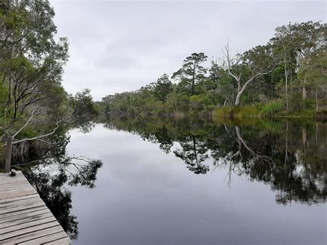 Self Guided Noosa Everglades Kayak Tour 2022 Noosa Sunshine Coast