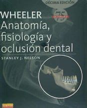 WHEELER ANATOMIA FISIOLOGIA Y OCLUSION DENTAL STANLEY J NELSON