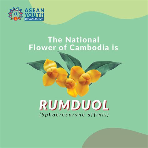 nepalese national flower 3