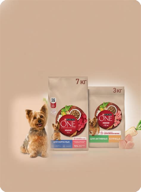 Официальный сайт Purina ONE® для собак: корма, советы о питании, уходе ...