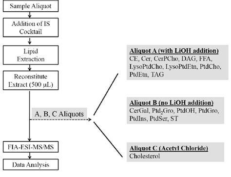 Proposed Workflow Diagram Of The Developed Comprehensive Lipidomics