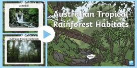 Australian Tropical Rainforest Habitat Word Mat