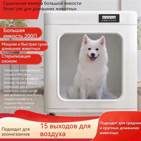 Интеллектуальная сушильная камера для крупных домашних животных ...