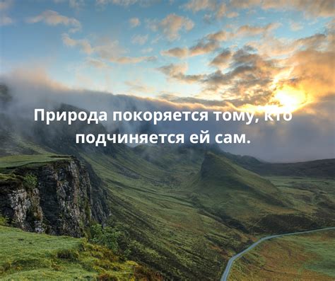 Цитаты про природу со смыслом: ТОП 100