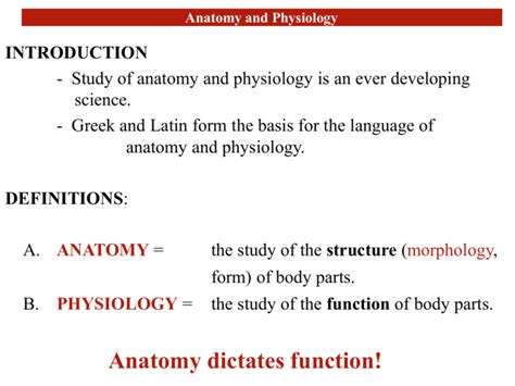 Powerpoint To Accompany Hole S Human Anatomy And Physiology