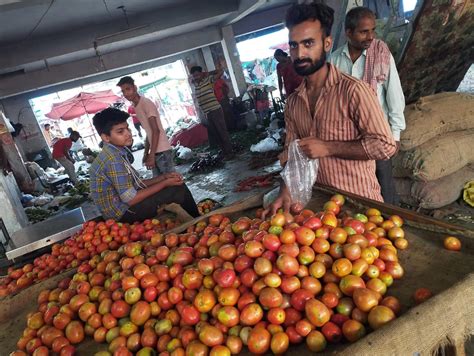 Tomato Price Hike महंगाई की एक और मार आसमान छू रही टमाटर की कीमत