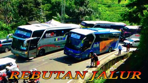 Bus Budiman Ketenggak Rebutan Jalur Dengan Bus Doa Ibu Hiba Putra