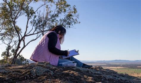 Gunnedah To Host Panorama Project Inside Local Government