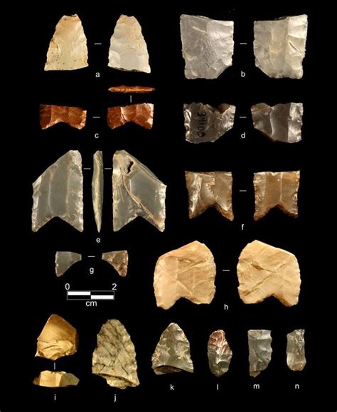 Archaeologists Have Found 12400 Year Old Fluted Spear Points In Alaska