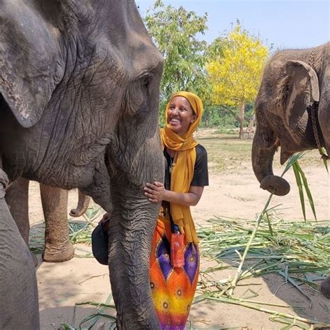 Bangkok Elephant Care Sanctuary