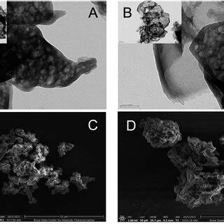 Representative transmission and scanning electron micrographs detailing ... 
