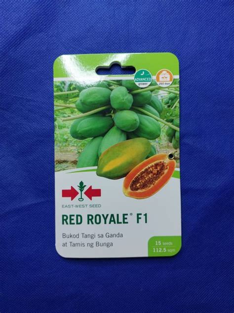 Red Royale F1 15 Seeds Hybrid Papaya By East West Seed Lazada Ph