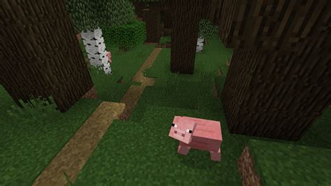 Block of the Week: Grass Path | Minecraft