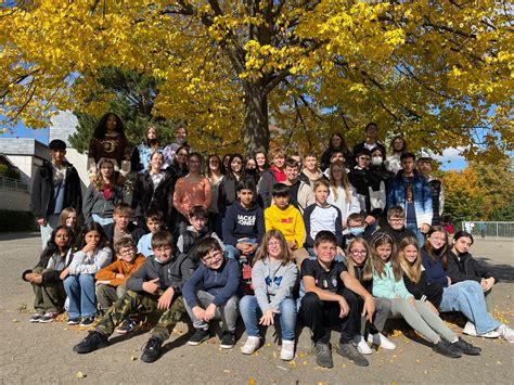 SV Tage An Der Albert Schweitzer Realschule Plus Mayen Albert