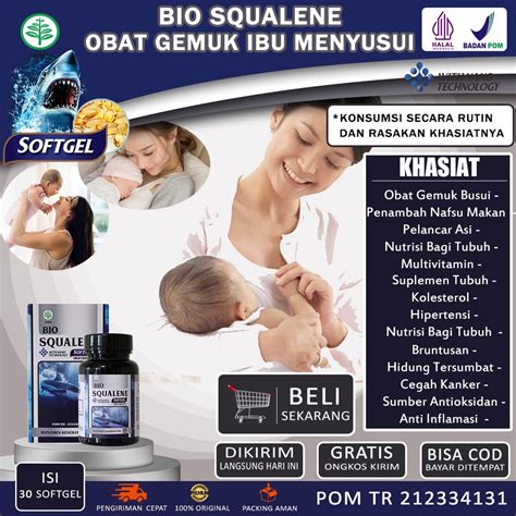 Jual Obat Gemuk Untuk Ibu Menyusui Penambah Nafsu Makan Vitamin Busui