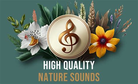 Acoustic Nature — Best Nature Sounds for Sleep