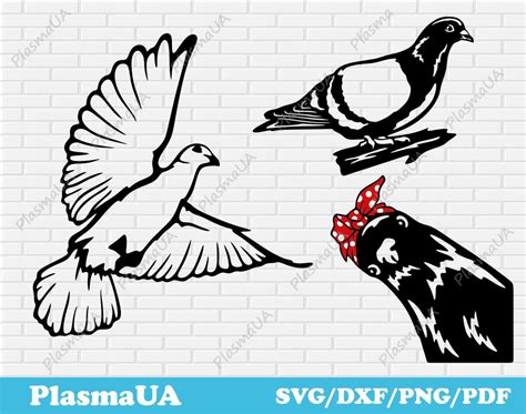 Pigeons Svg Cut Files Pigeon For Cricut Funny Pigeon Clipart Svg For