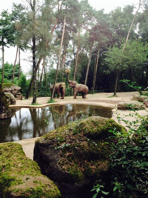 Burger Zoo The Netherlands, Arnhem | Bezienswaardigheden, Vakantie, Arnhem