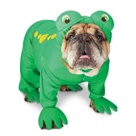 Zelda Frog Prince Halloween Dog Costume | BaxterBoo