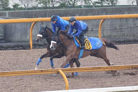 【桜花賞】ステレンボッシュは余力十分に11秒7 阪神jf2着から確信のぶっつけ参戦｜競馬ニュース｜競馬予想のウマニティ