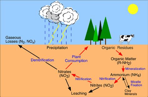 Eco Notes